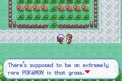 Pokemon Celia's Stupid